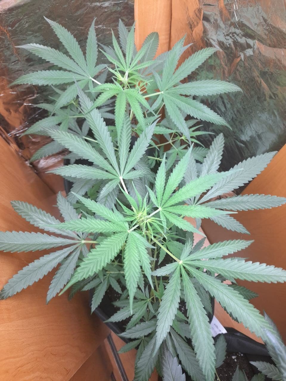 photo_2022-07-09_22-58-29 (3).jpg