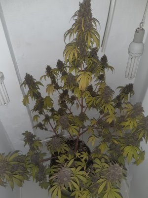 20220713_085615.jpg