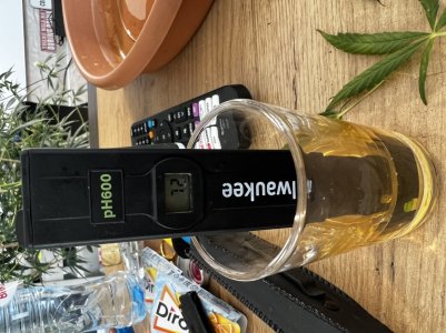 C6A55D6C-E65C-4073-AFD6-45D05D26F90B.jpeg C6A55D6C-E65C-4073-AFD6-45D05D26F90B.jpeg