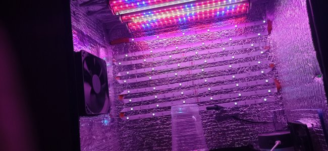 IMG_20220920_111253.jpg IMG_20220920_111253.jpg