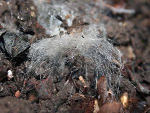 F2404FBC-5B06-43D8-B514-64B9635B2397.jpeg F2404FBC-5B06-43D8-B514-64B9635B2397.jpeg