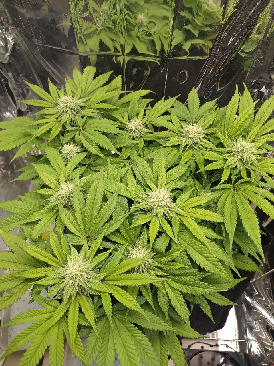 35 — копия.jpg 35 — копия.jpg