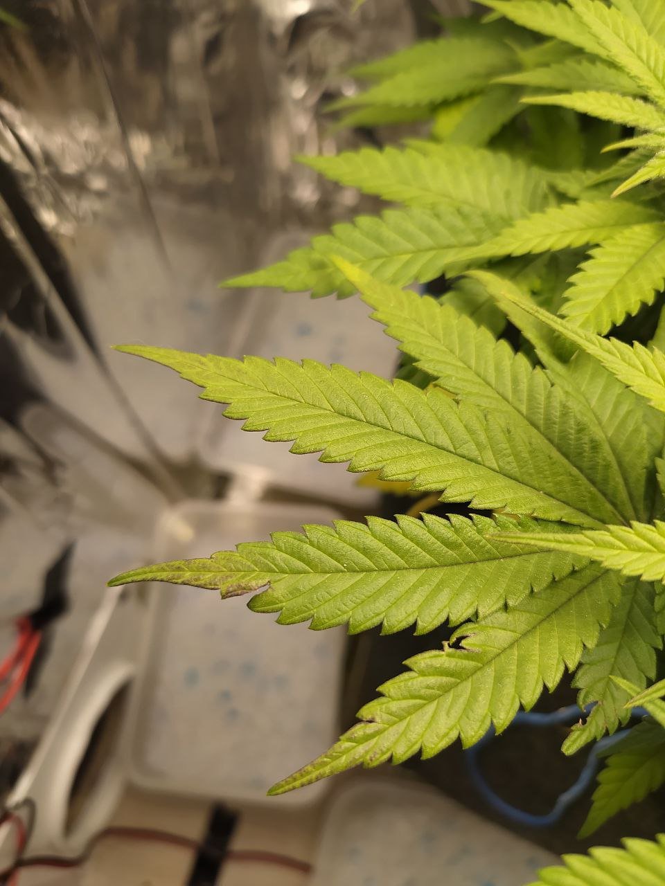 713 — копия.jpg 713 — копия.jpg