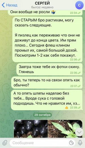 C7023A2D-D558-49AC-B9A0-6E1781D0CED5.jpeg