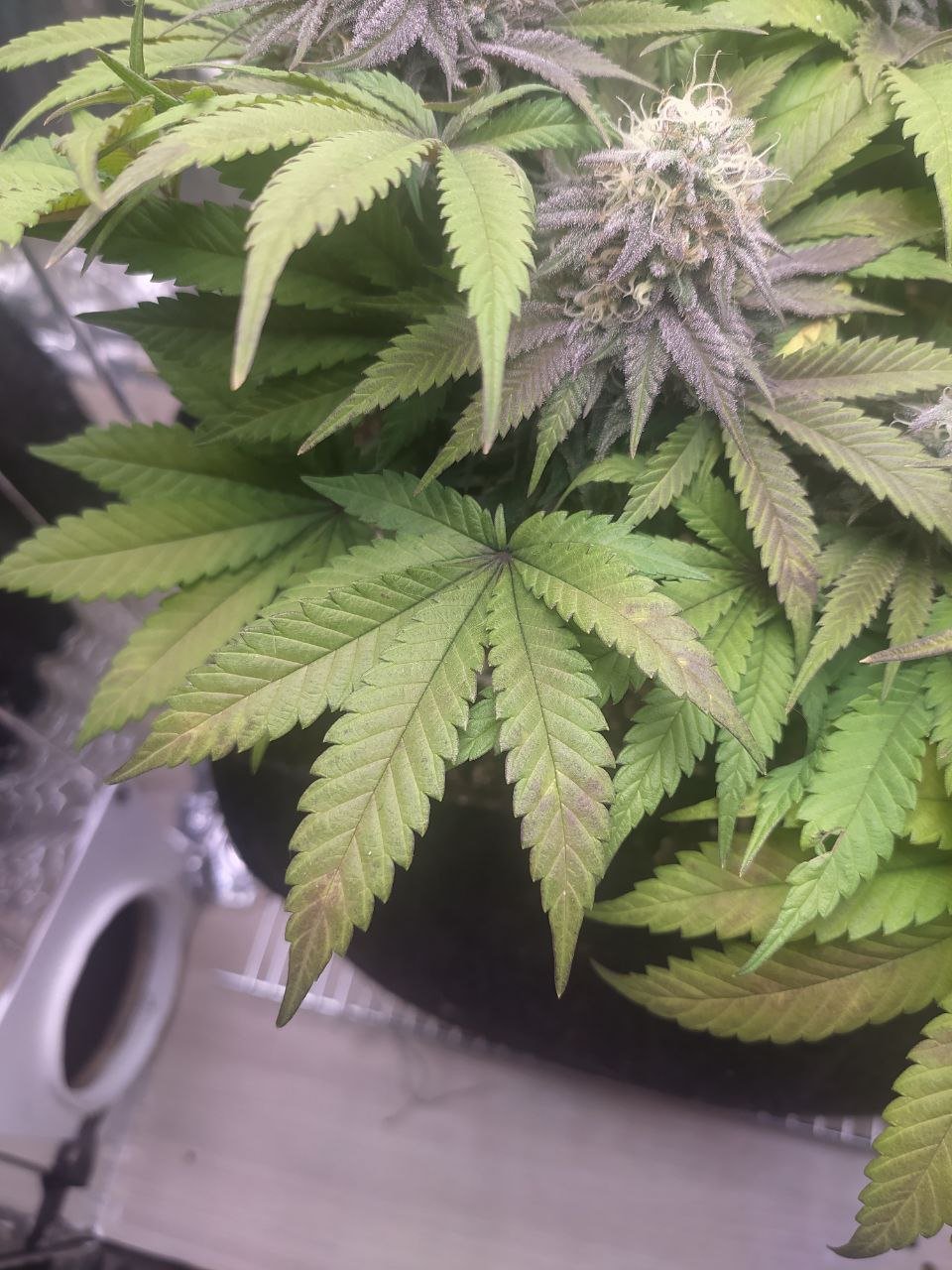 3 — копия.jpg 3 — копия.jpg