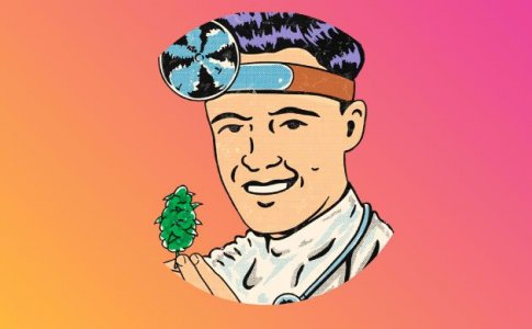 Кто такие бридеры? 