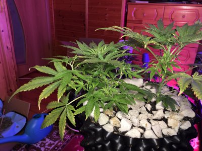 IMG_7551.JPG IMG_7551.JPG