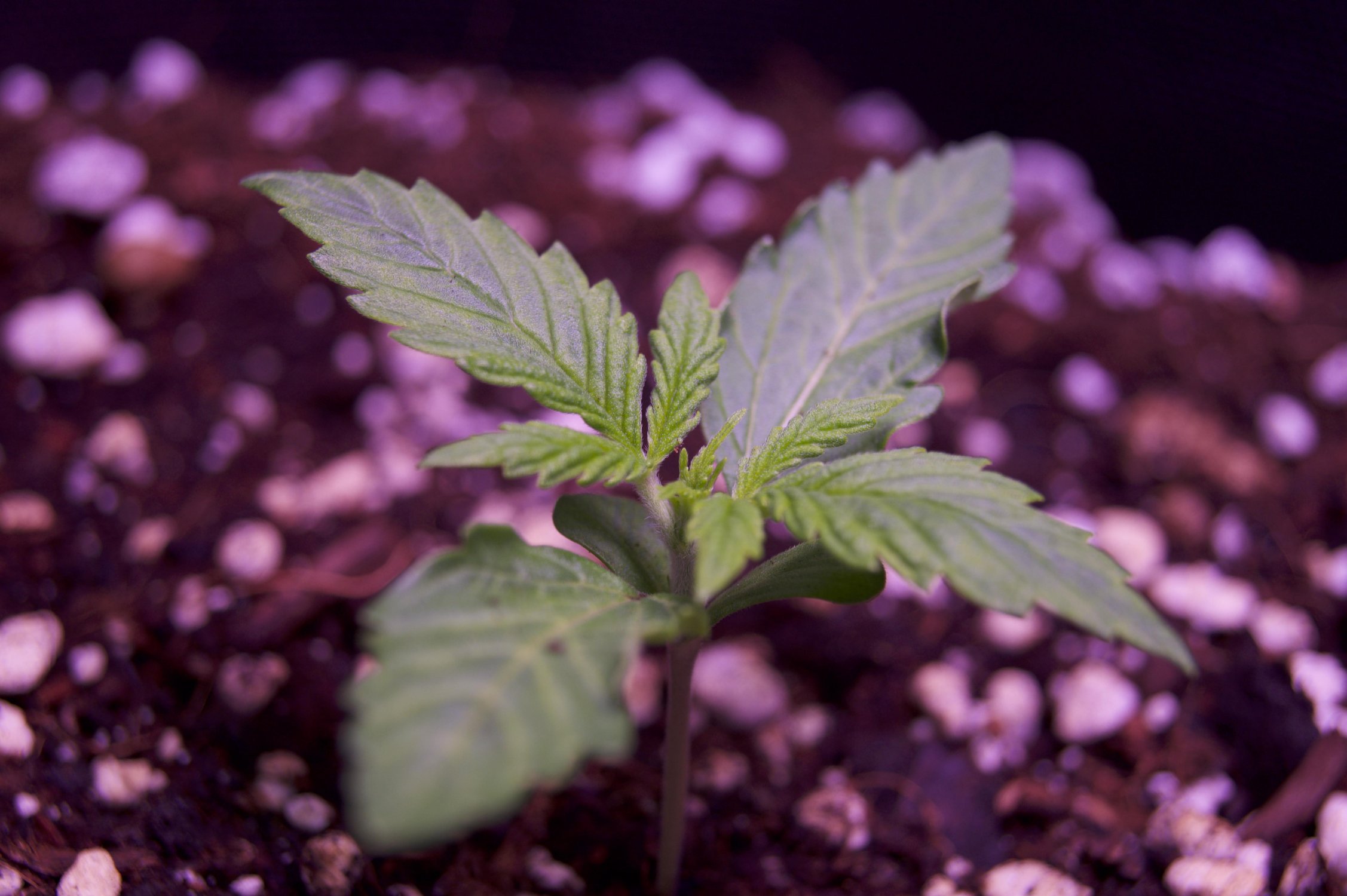 DSC04346.jpeg DSC04346.jpeg