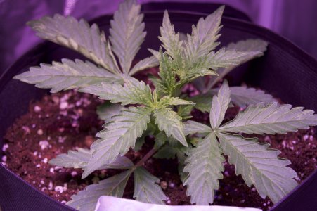 DSC04367.jpeg DSC04367.jpeg