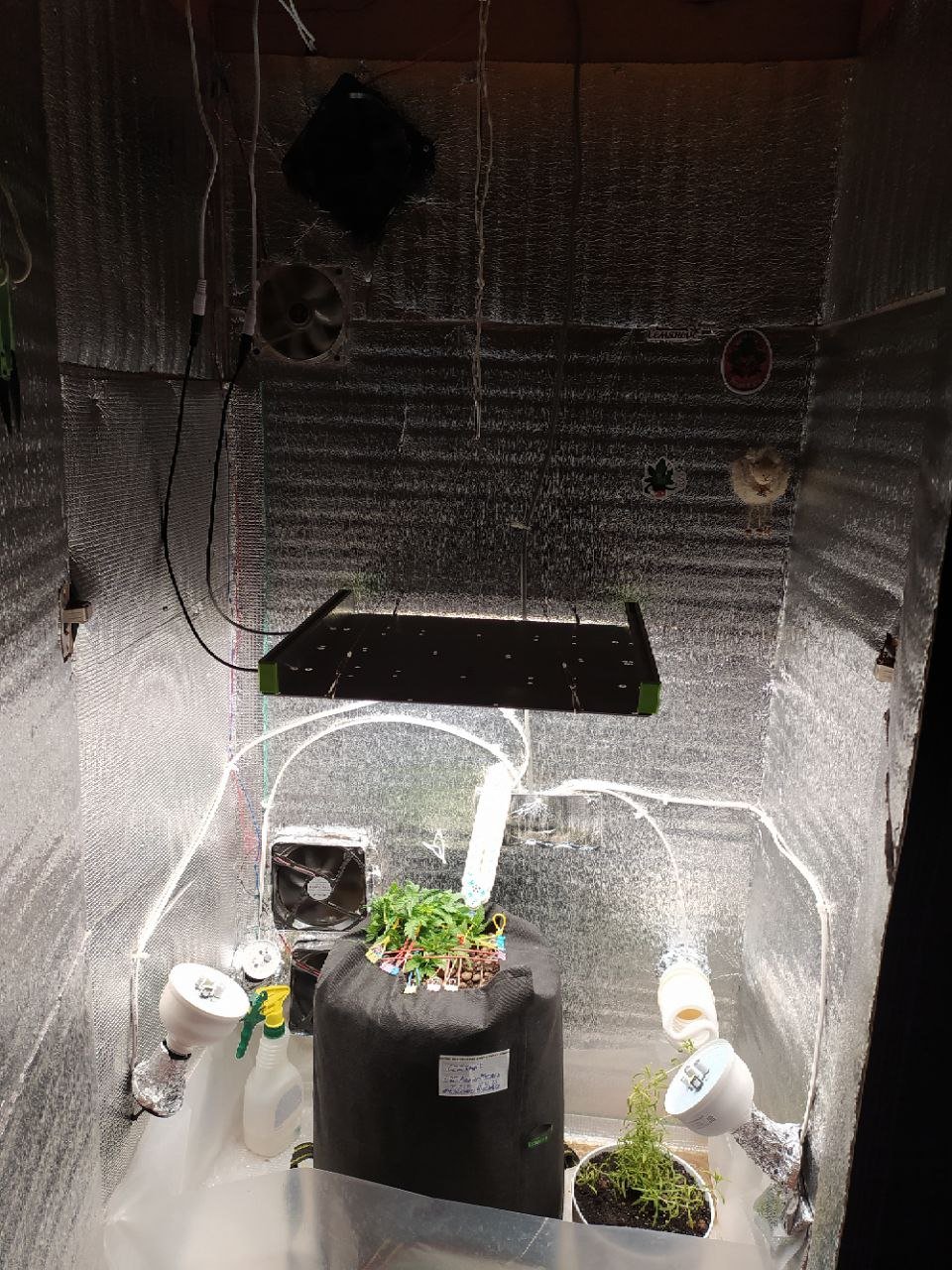 photo_2023-02-27_18-52-35.jpg photo_2023-02-27_18-52-35.jpg