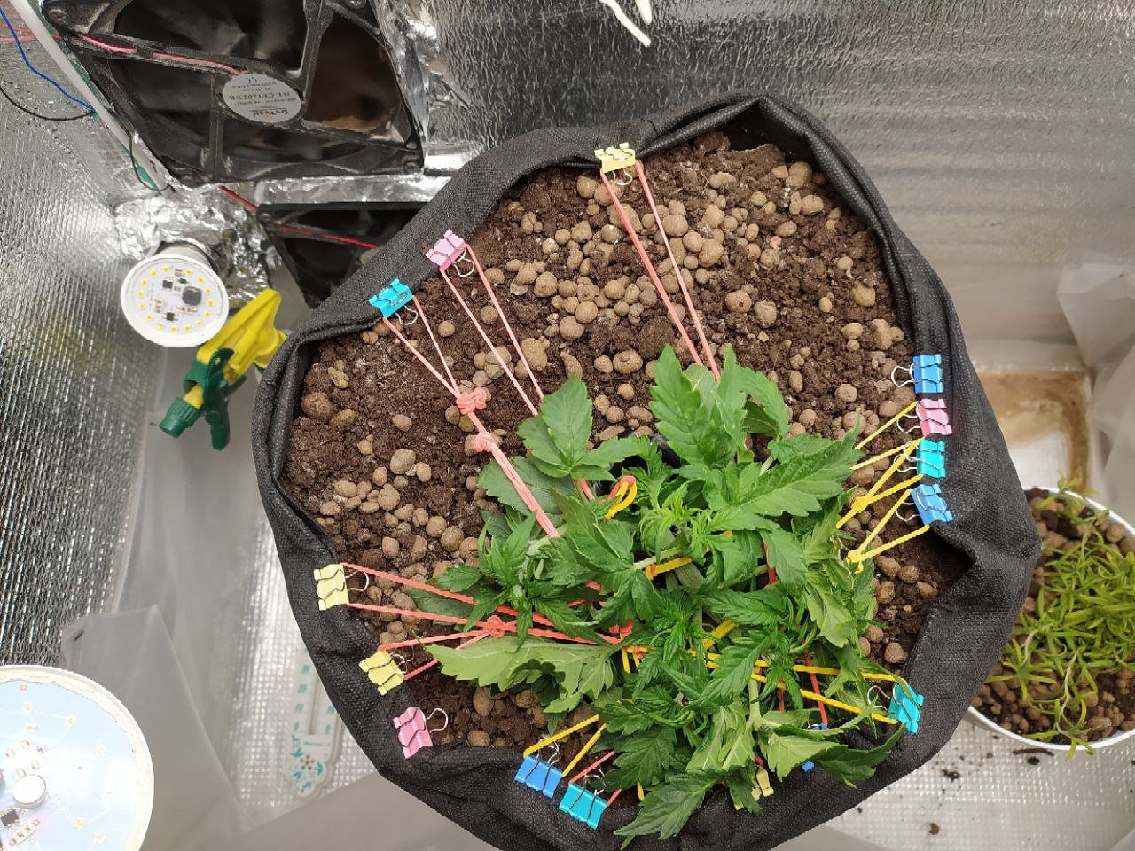 photo_2023-02-28_21-46-42.jpg photo_2023-02-28_21-46-42.jpg