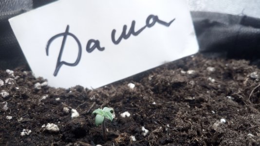 04.03.23 (2).jpg