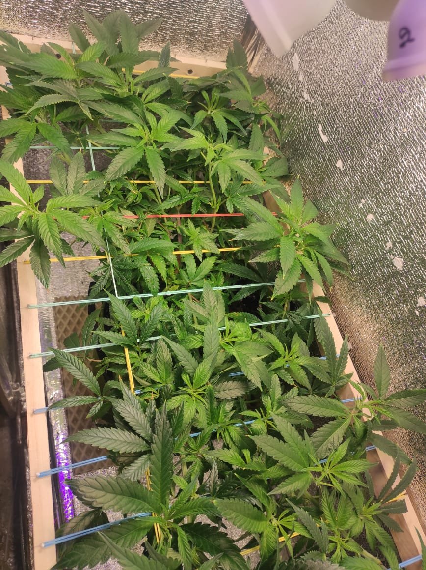 IMG-20230303-WA0000.jpg IMG-20230303-WA0000.jpg