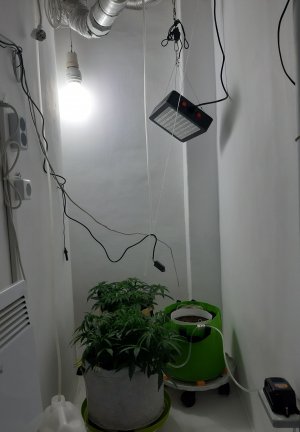 20230506_080155.jpg