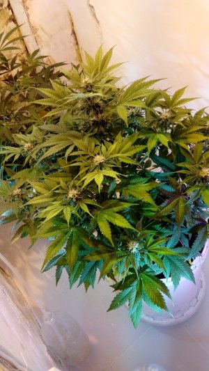 20211226_180541 (1).jpg