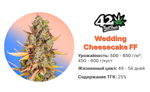 Wedding Cheesecake FF