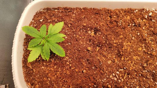 remove_image_metadata_c8f0be7f0541eda0b60cfc251b989fe4_660dceed6a8d8.jpg remove_image_metadata_c8f0be7f0541eda0b60cfc251b989fe4_660dceed6a8d8.jpg