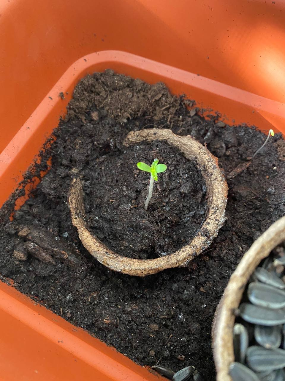 IMAGE 2022-03-13 17:46:08.jpg