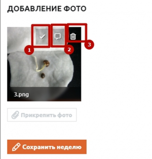 1717242123995.png