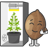 :growbox